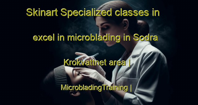 Skinart Specialized classes in excel in microblading in Sodra Krokvattnet area | MicrobladingTraining | MicrobladingClasses | SkinartTraining-Sweden
